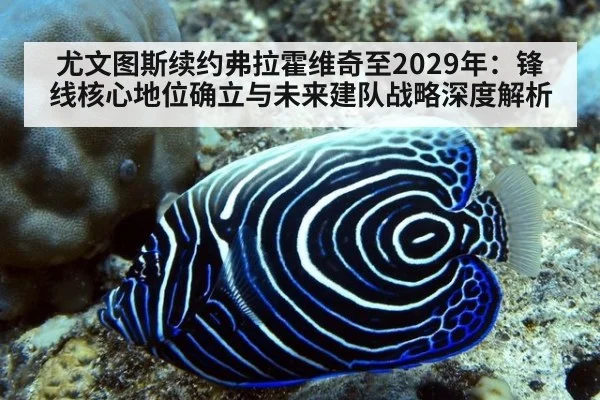 尤文图斯续约弗拉霍维奇至2029年：锋线核心地位确立与未来建队战略深度解析